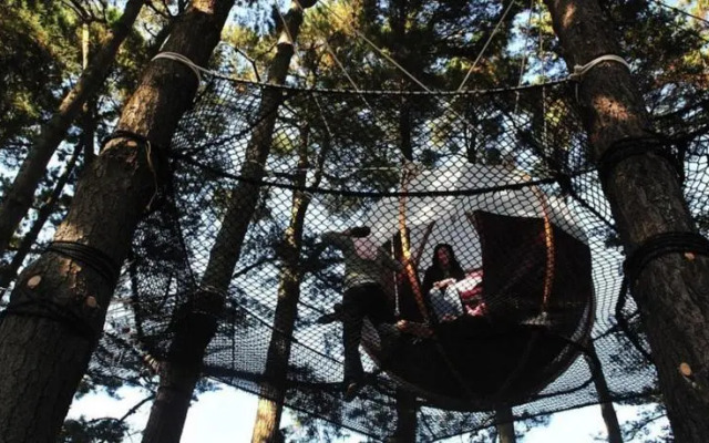 Les Nids du Parcabout