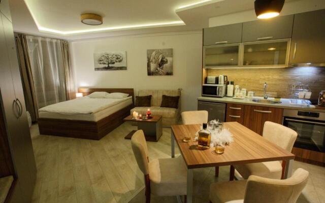 Apartman BIG Milmari S19