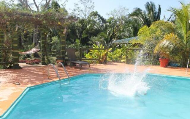 Inn the Bush Eco-Jungle Lodge