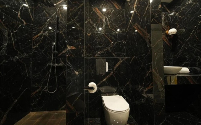 Luxury 2BR apartment in the center