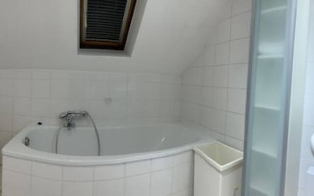 Tolstov Hotels Sunny Penthouse In City Center