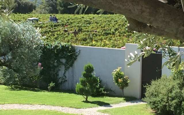 Maison D'hotes Les Vignes