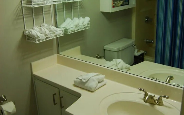 Phoenix V 901 by RedAwning