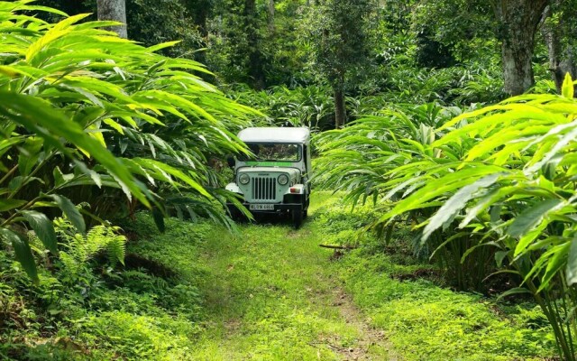 Joys Resort