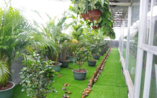 Young Trees Fashion Hotel