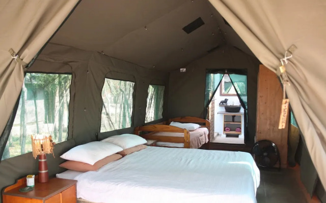 Warthogs Safari Camp