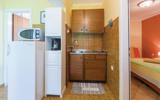 Nice Home in Savudrija With Wifi and 1 Bedrooms