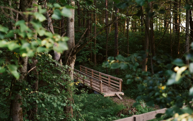 Wish Home Дубовая Роща (Виш Хоум)