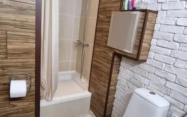 Central Apartment Shishman