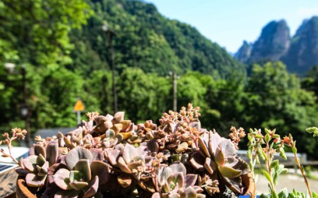Zhangjiajie Xianlv Residential Accommodation (Wulingyuan National Scenic Spot Scenic Spot Store) – Outside – Zhangjiajie