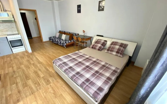 Апартаменты Вояж на улице 50 лет ВЛКСМ, д. 13, корп.1