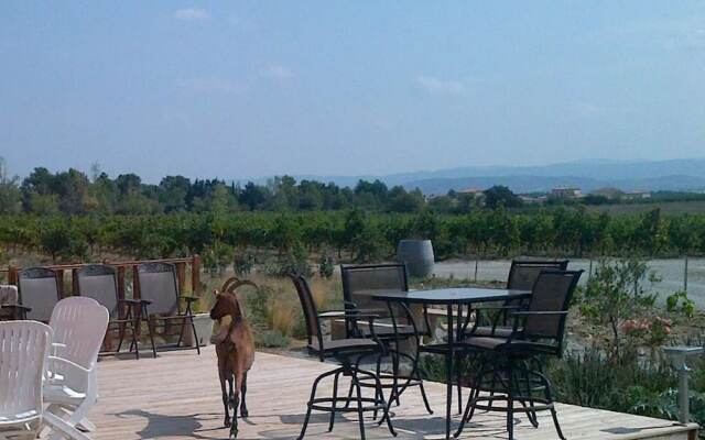 O'Vineyards Winery and B&B
