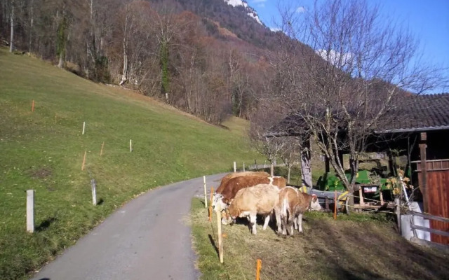 The Hotel Alpina
