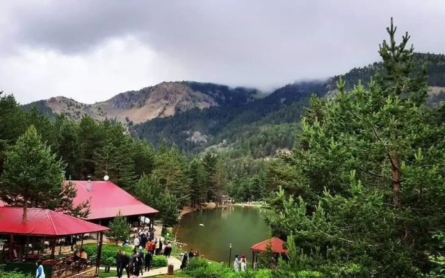 Zigana Gumuskayak Yaylakent Hotel