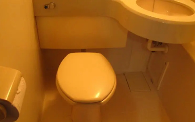 Business Hotel Ojiro – Bathroom – Makinohara