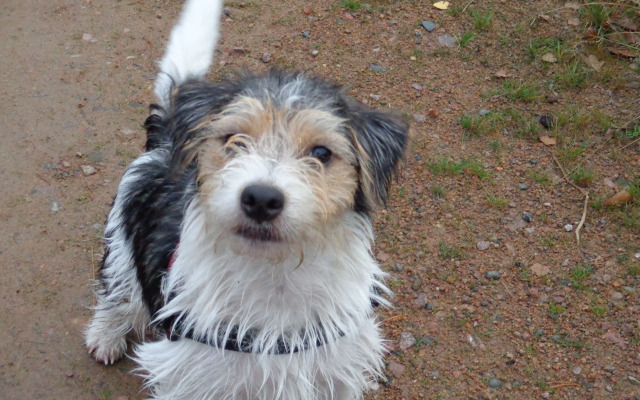 Målerås Vandrarhem B&B