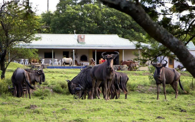 Santa Paloma Guest Farm