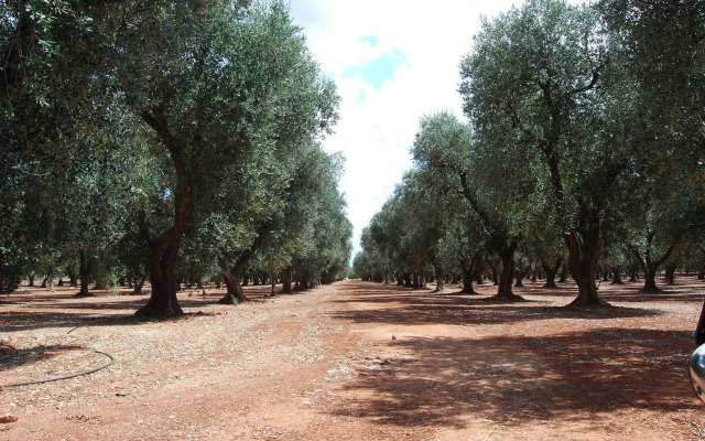 Terra di Leuca