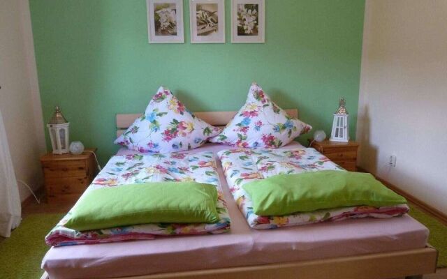 Beautiful Apartment in Pohla Saxony near Ski Area