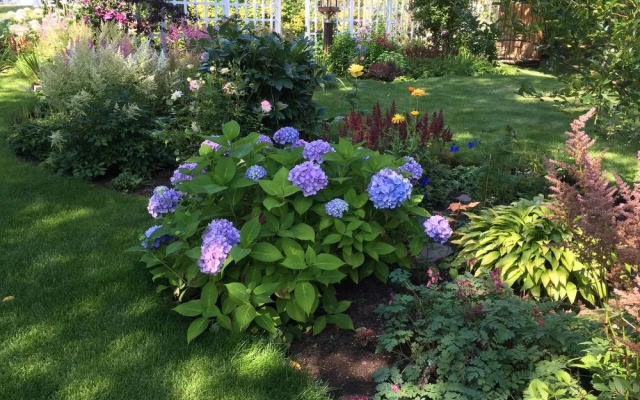 Ridgeview Gardens Bed & Breakfast