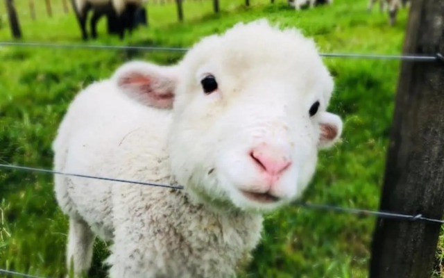 Westminster Mountain View Manor Main House