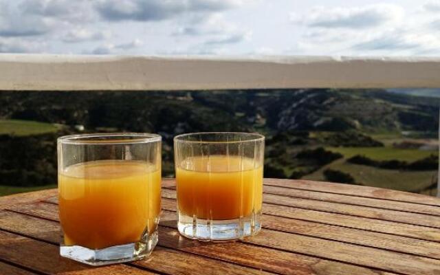 Vouno Country Studio