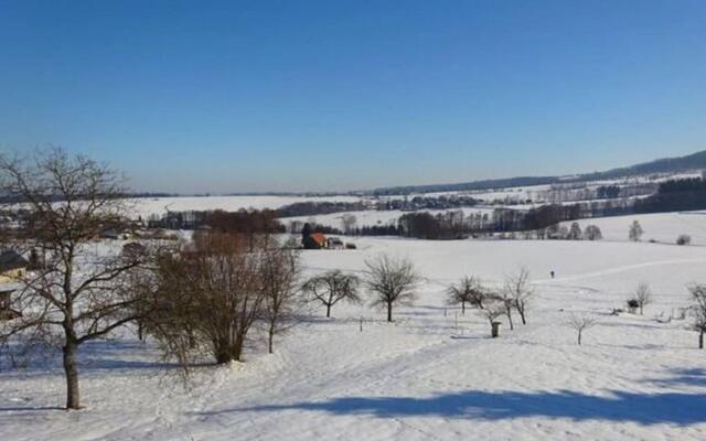 Spacious Holiday Home In Dlouhý With Sauna