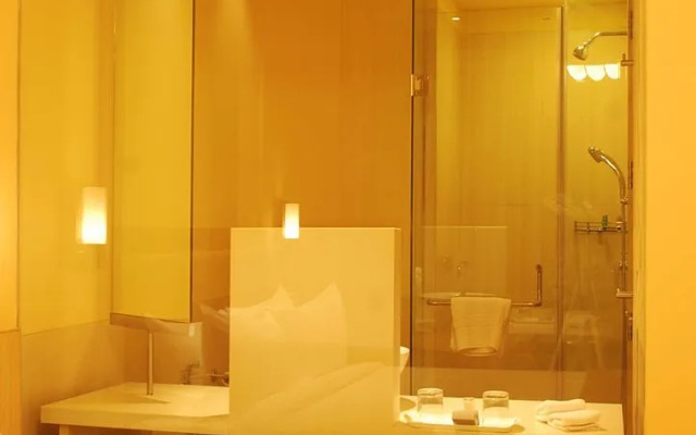 Sarovar Portico Naraina Delhi