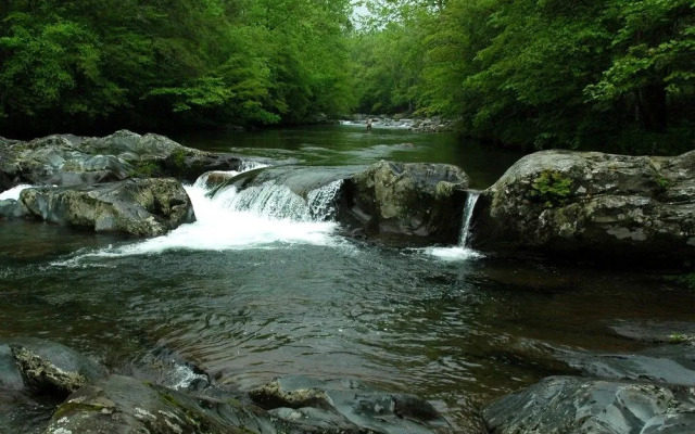 River Dream 466 By Redawning