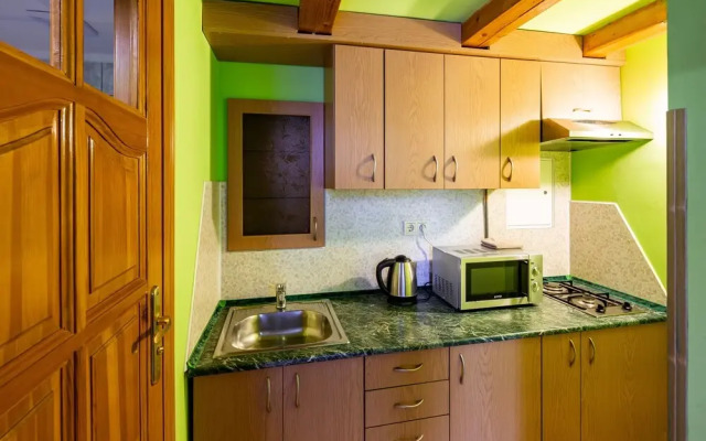 Duplex apartment on Svobody Avenue