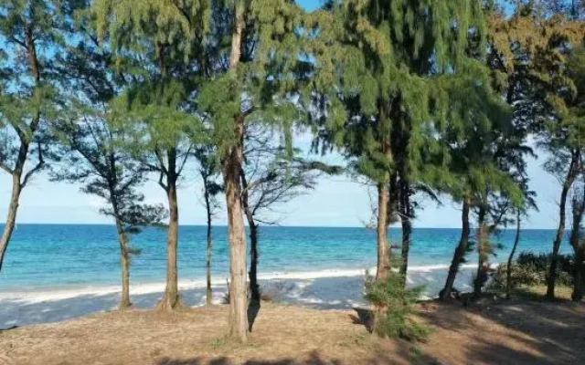 Weizhou Island Tea Language Sea Inn (Shiluokou Dishui Danping Scenic Area)