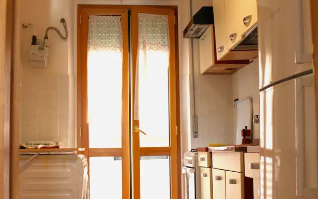 Mikasa Balduina Roma