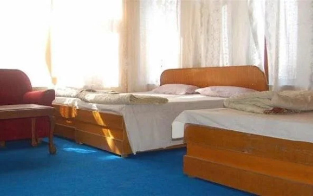 Hotel Green Chinar