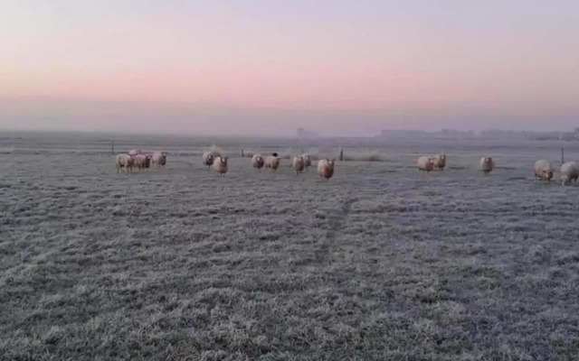 Spacious Home with Garden near Langweerder Wielen