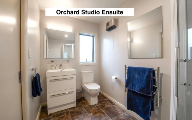 Grey Ridge Vineyard Experience