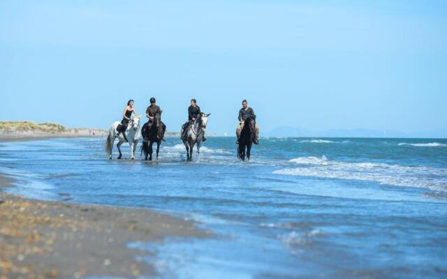 Playa de Muro - 266031