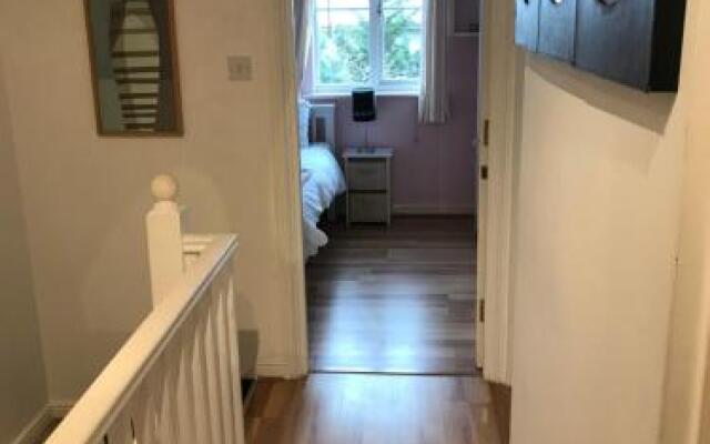Staynorwich 69g - Hush View House