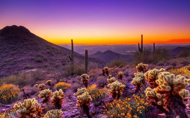 Northland Glam 3BR by Casago