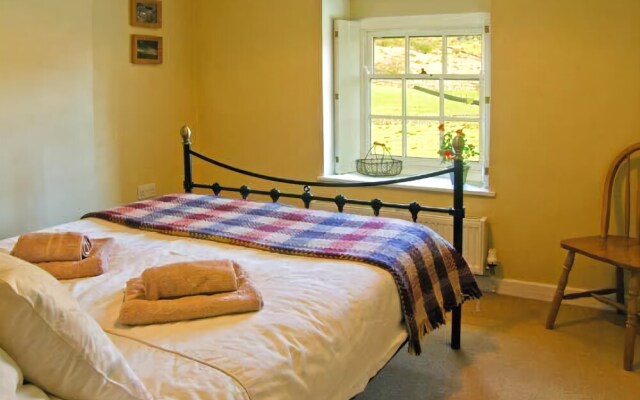 Carreg Gleision