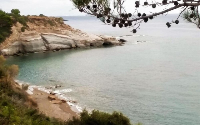 Apartments With Garden View2