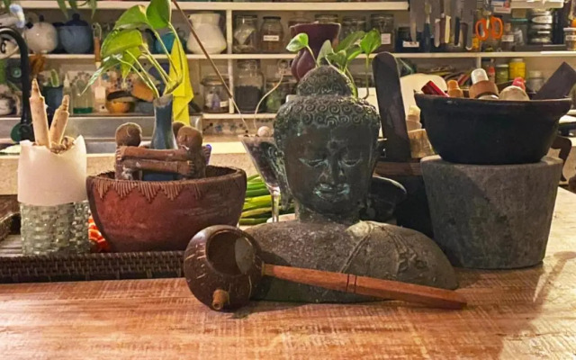 Shady Grove Healing Centre and Homestay