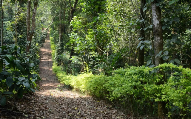 Heights Farm Stay - Coffee Estate Stay