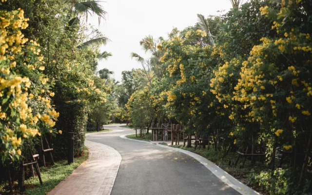 RAKxa Wellness & Medical Retreat