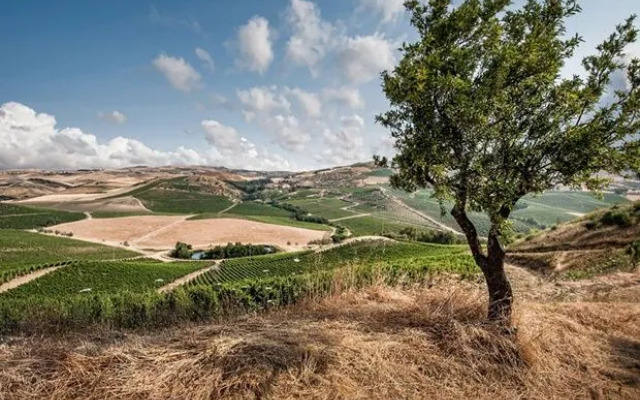 Tasca Conti d'Almerita - Tenuta Regaleali
