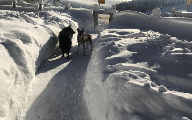 Hochkopfhaus zum Auerhahn