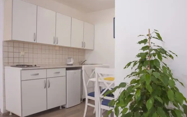 Apartments Vuksic