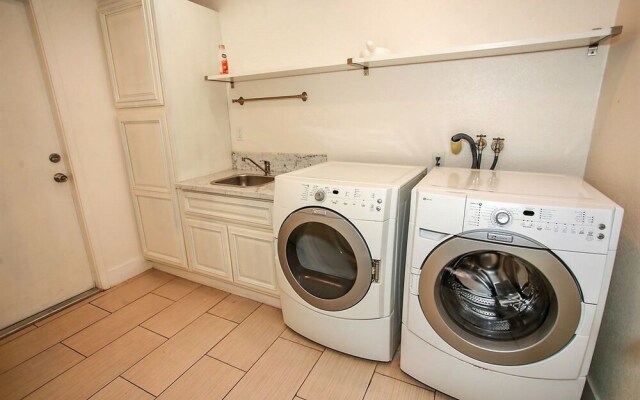 Bluebird Bear 1549 by RedAwning