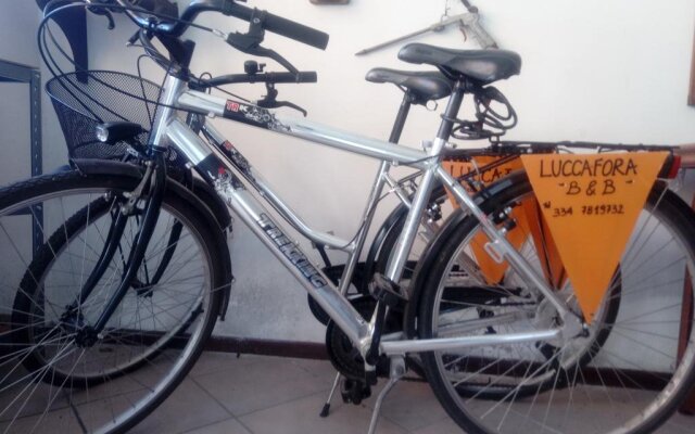 Bed & Breakfast Lucca Fora