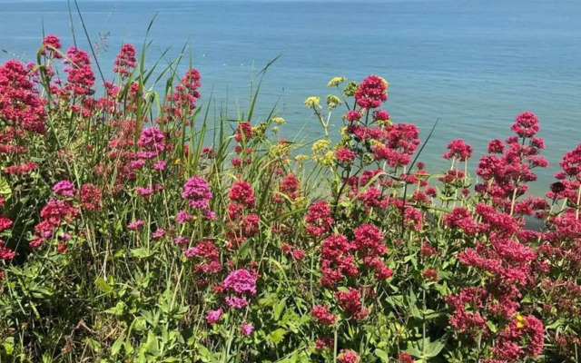 Popular - Modern Walpole Bay Apartment