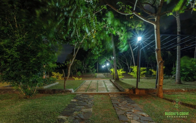 Buddhi's Grove